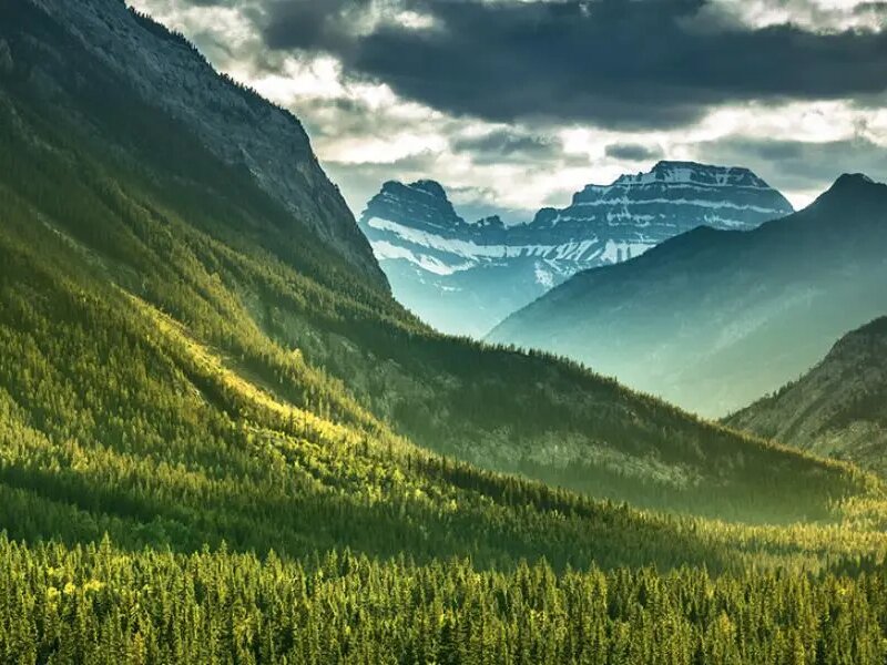 洁福地板哪些产品是最新专利技术-EVERCARE激光穿