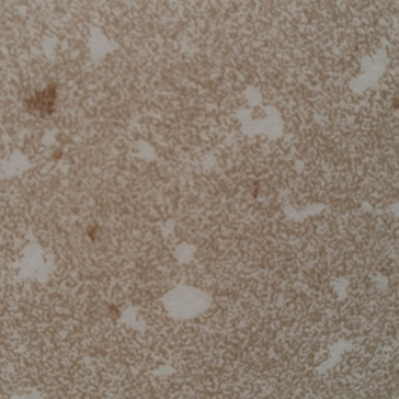 经典传递哥伦布