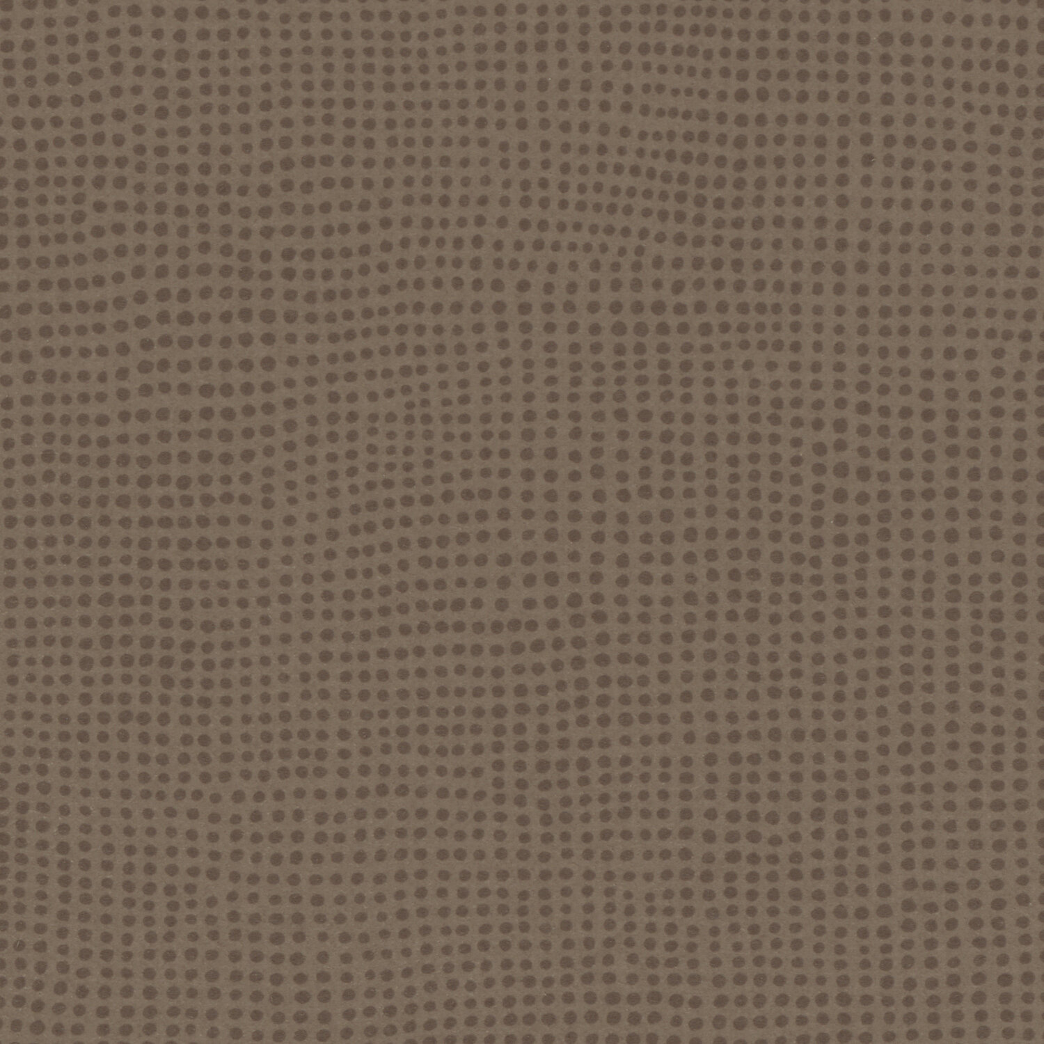 0049 DIVERSION CARBONE