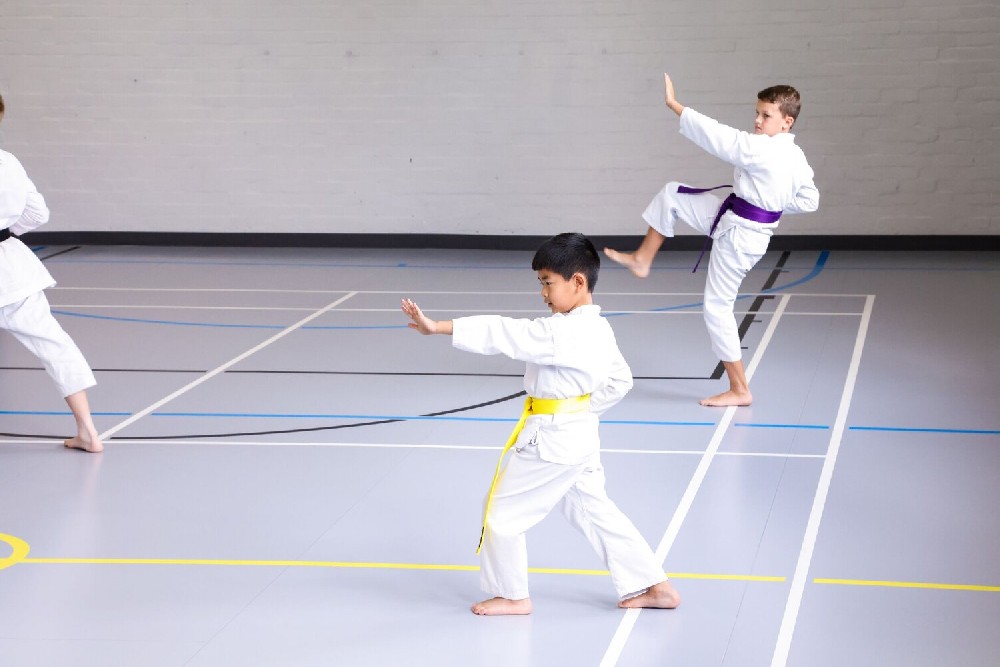 Taraflex® Evolution SL