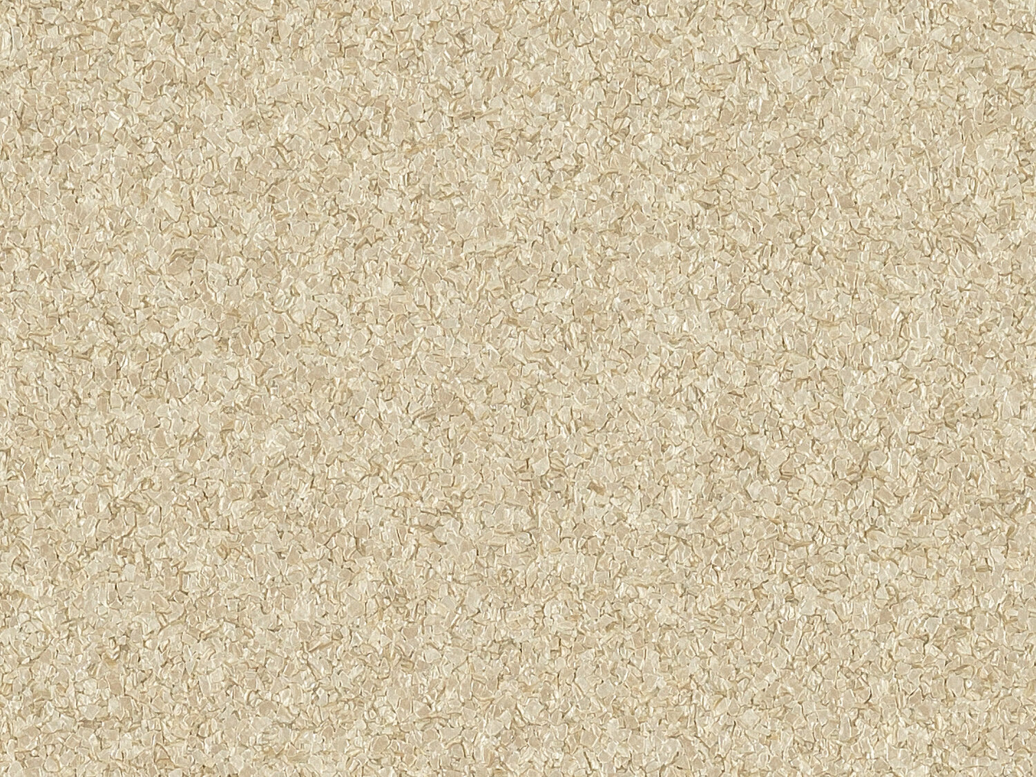 0064 METALLICA SUDRI