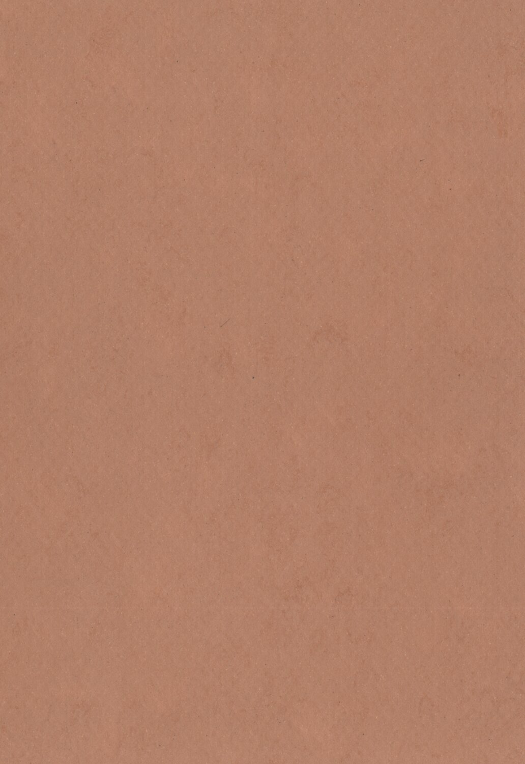 0572 Terracotta Brown